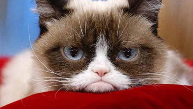 děkuji, tohle nefotím